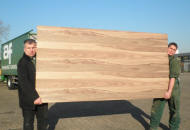 Plaatmateriaal wildverband fineer