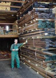 noten amerikaans Walnut walnoot