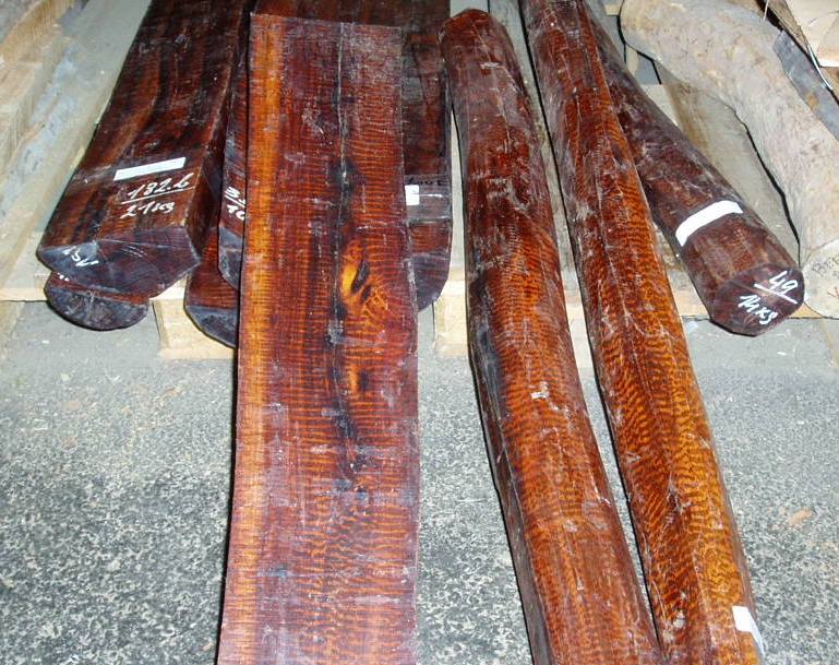 Letterhout Slangenhout massief hout