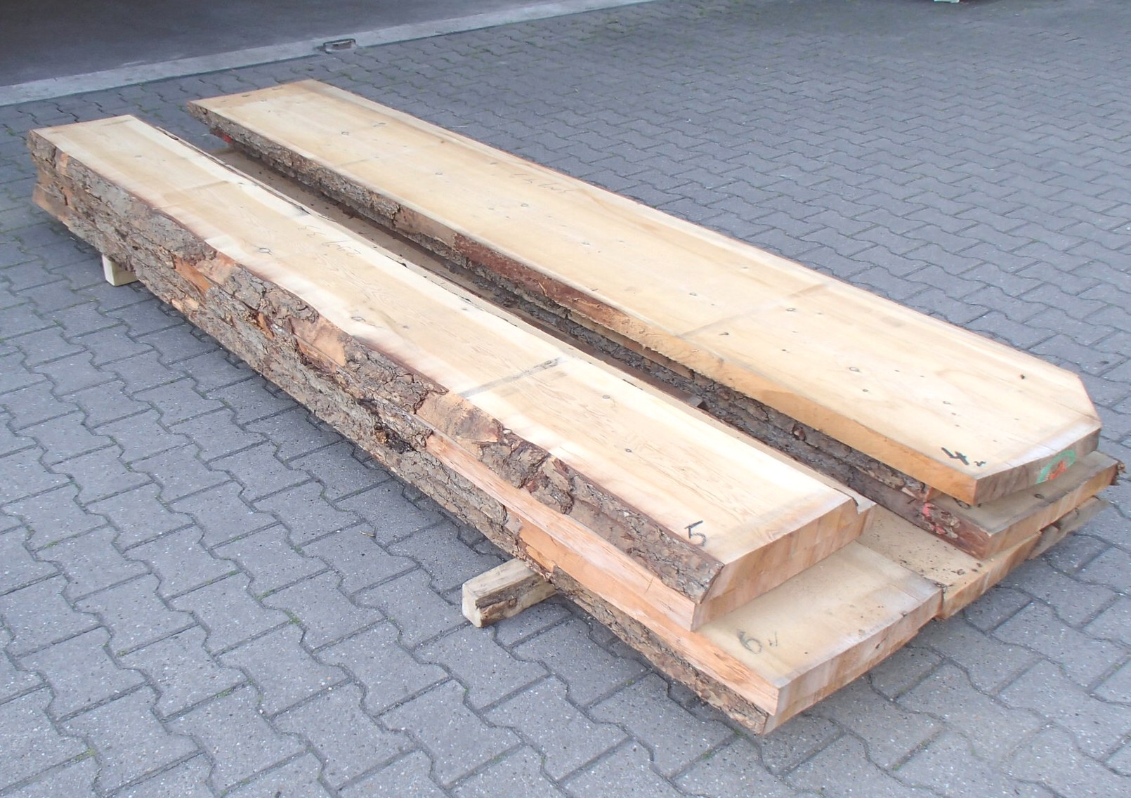 Punt verkoper Specificiteit Libanonceder Libanon Ceder massief hout