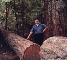 Cathedral grove vancouver island