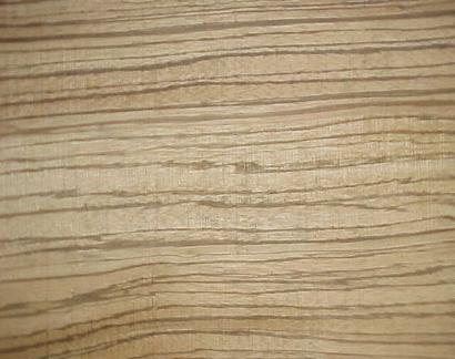 zebrano zingana zebrawood