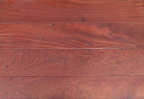 Jatoba geolied